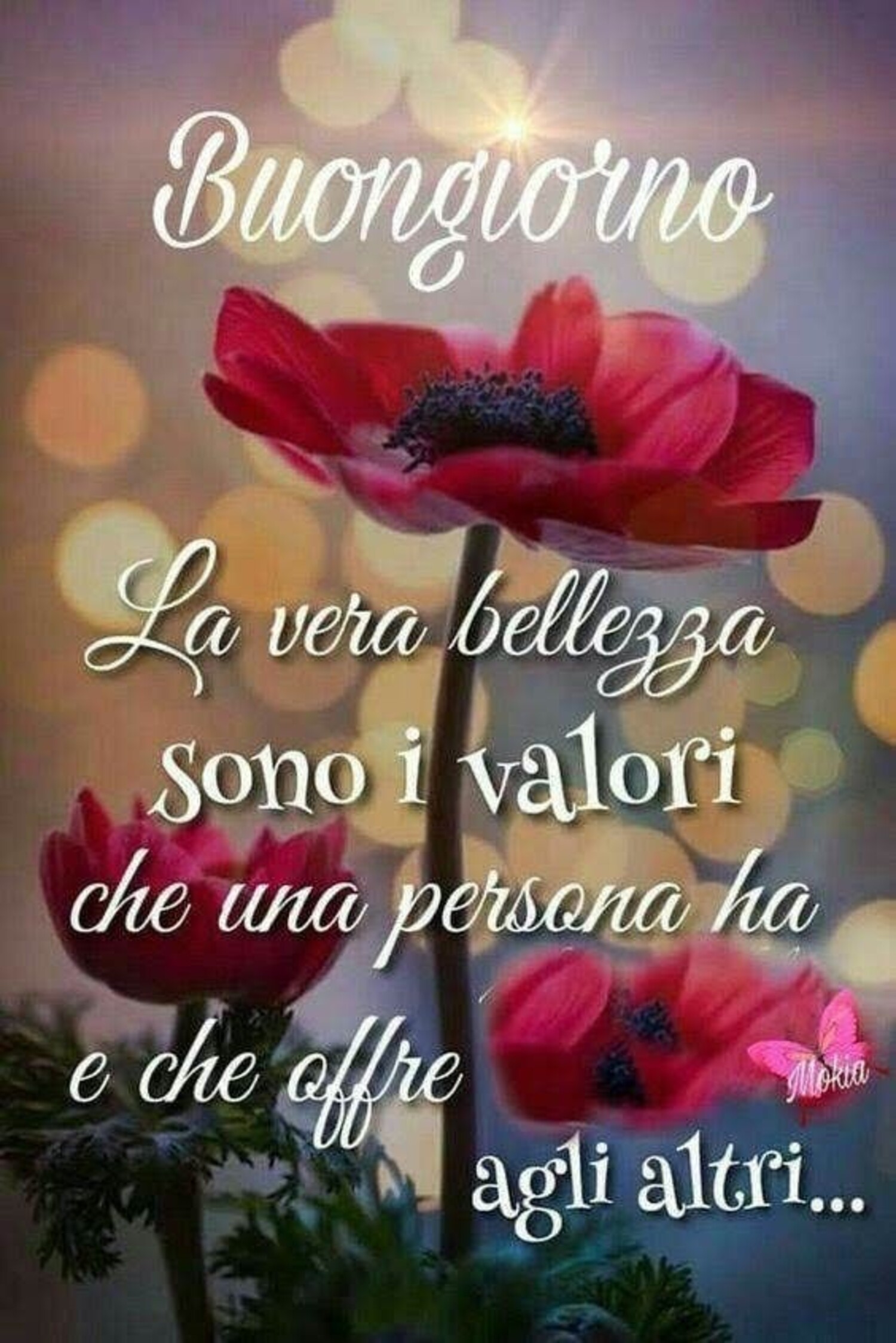 Buongiorno la vera bellezza sono i valori che una persona ha e che offre agli altri