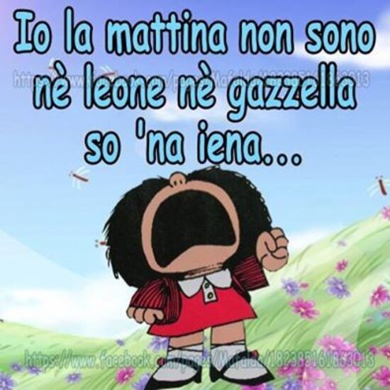 Io la mattina non sono nè leone nè gazzella...so 'na iena...