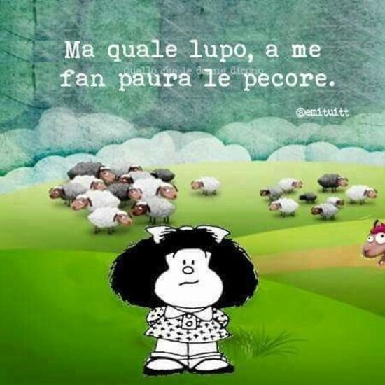 Ma quale lupo, a me fan paura le pecore