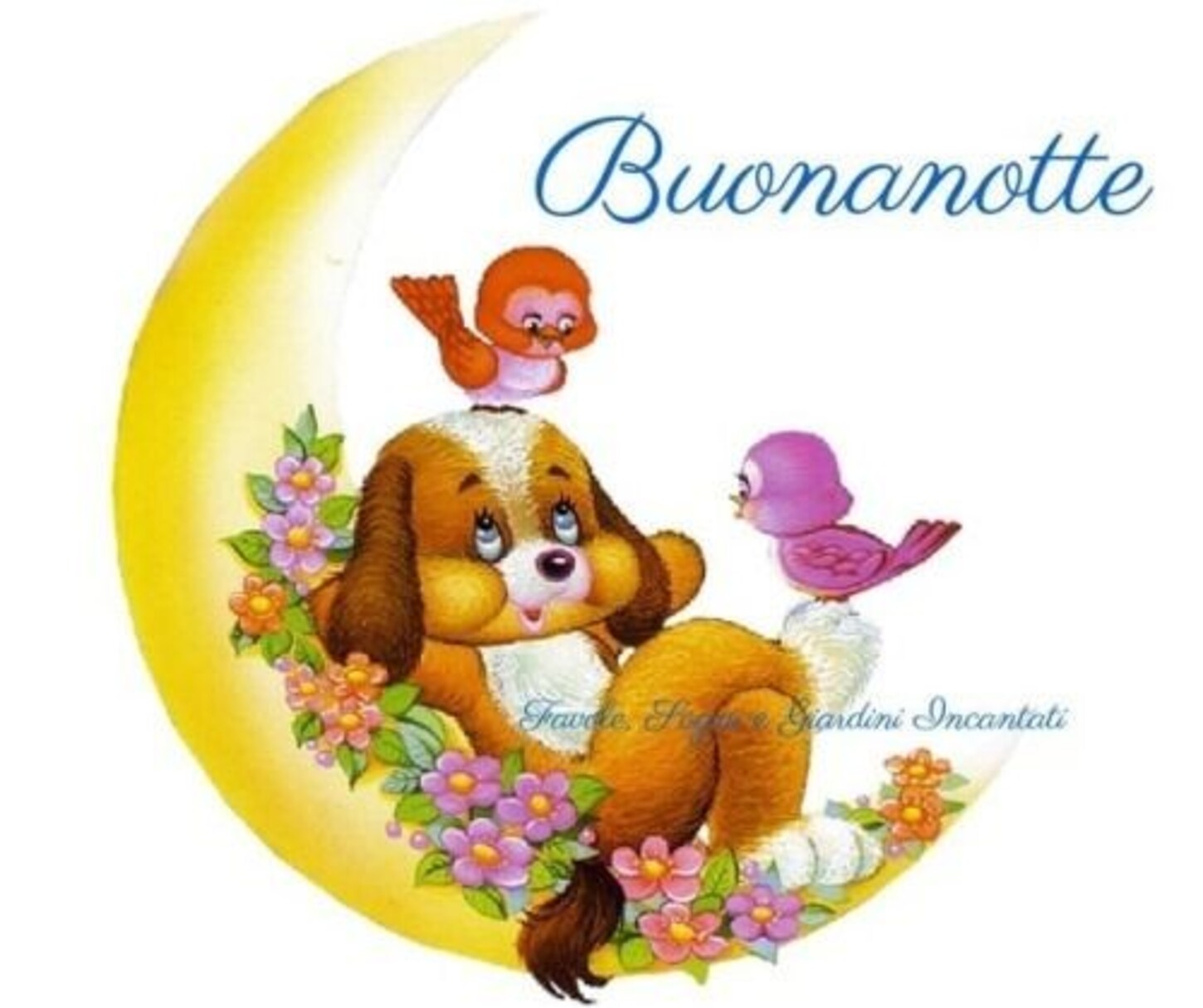 "Buonanotte" - belle immagini