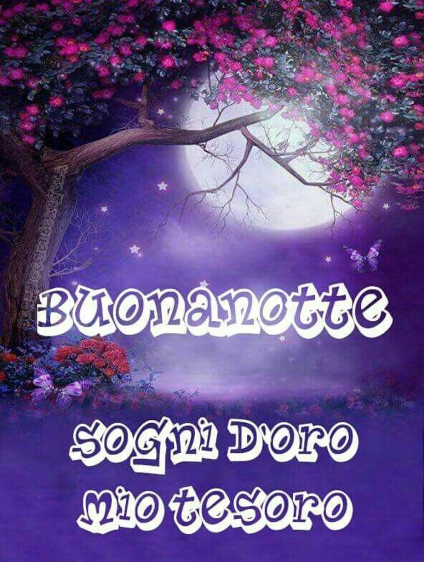 Buonanotte Sogni d'Oro Mio Tesoro