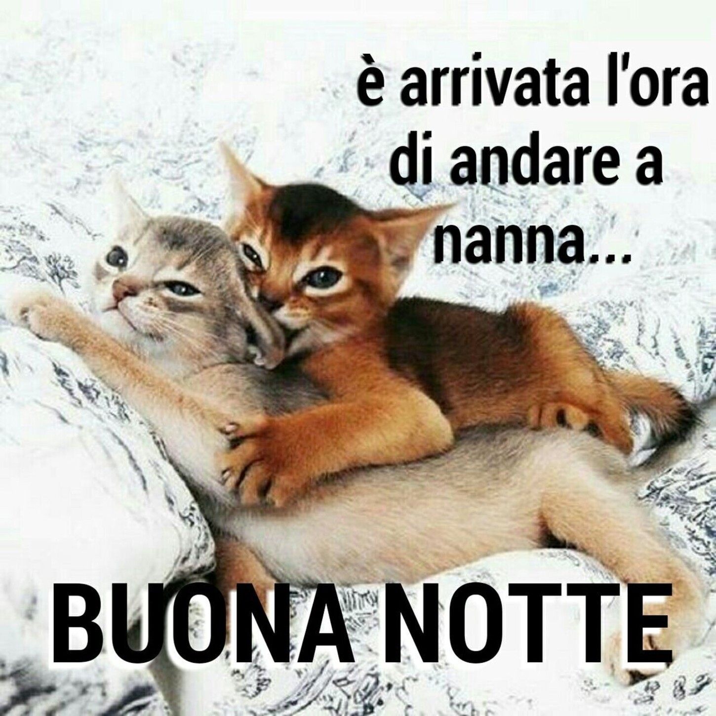 E' arrivata l'ora di andare a nanna... BUONA NOTTE