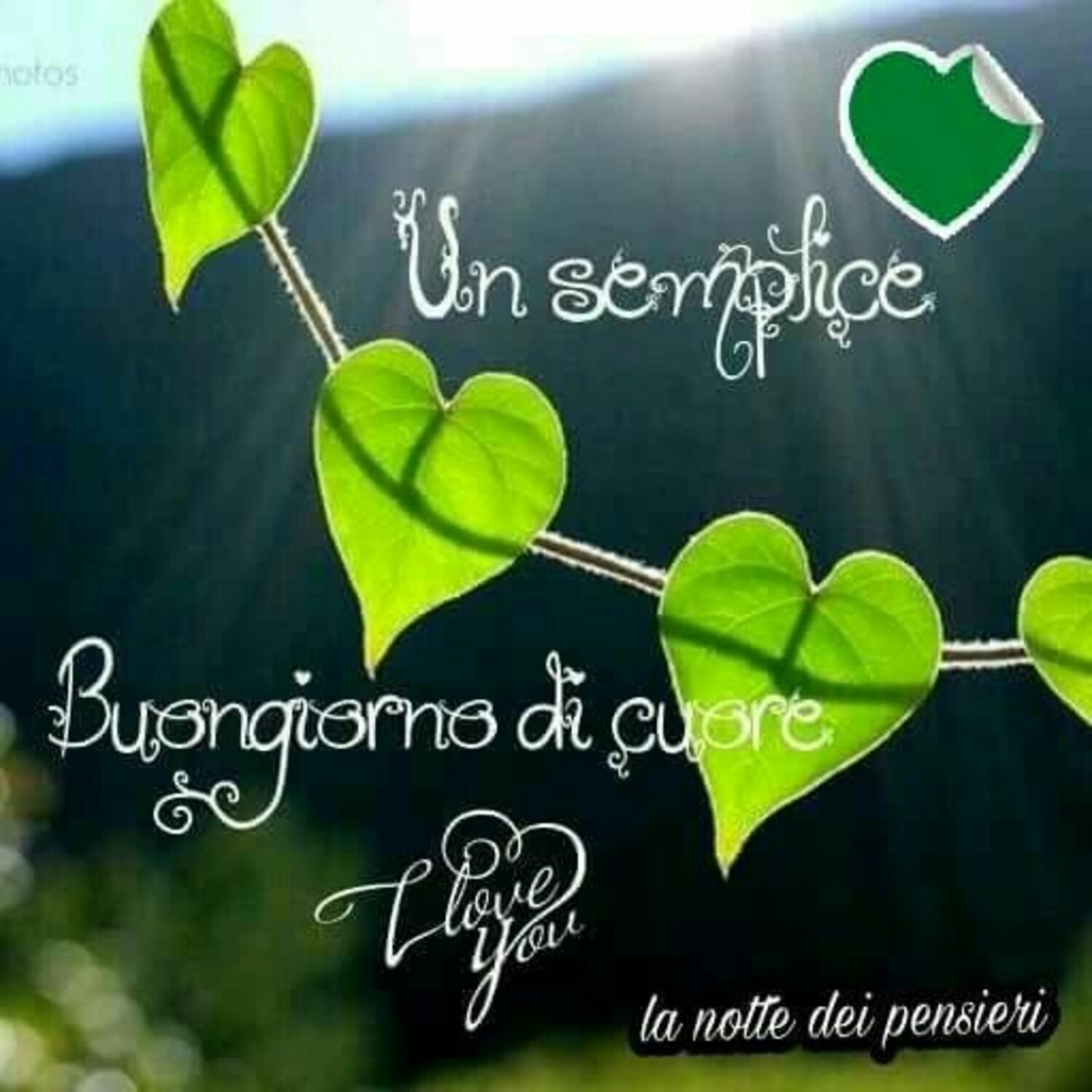 Un Semplice Buongiorno di Cuore