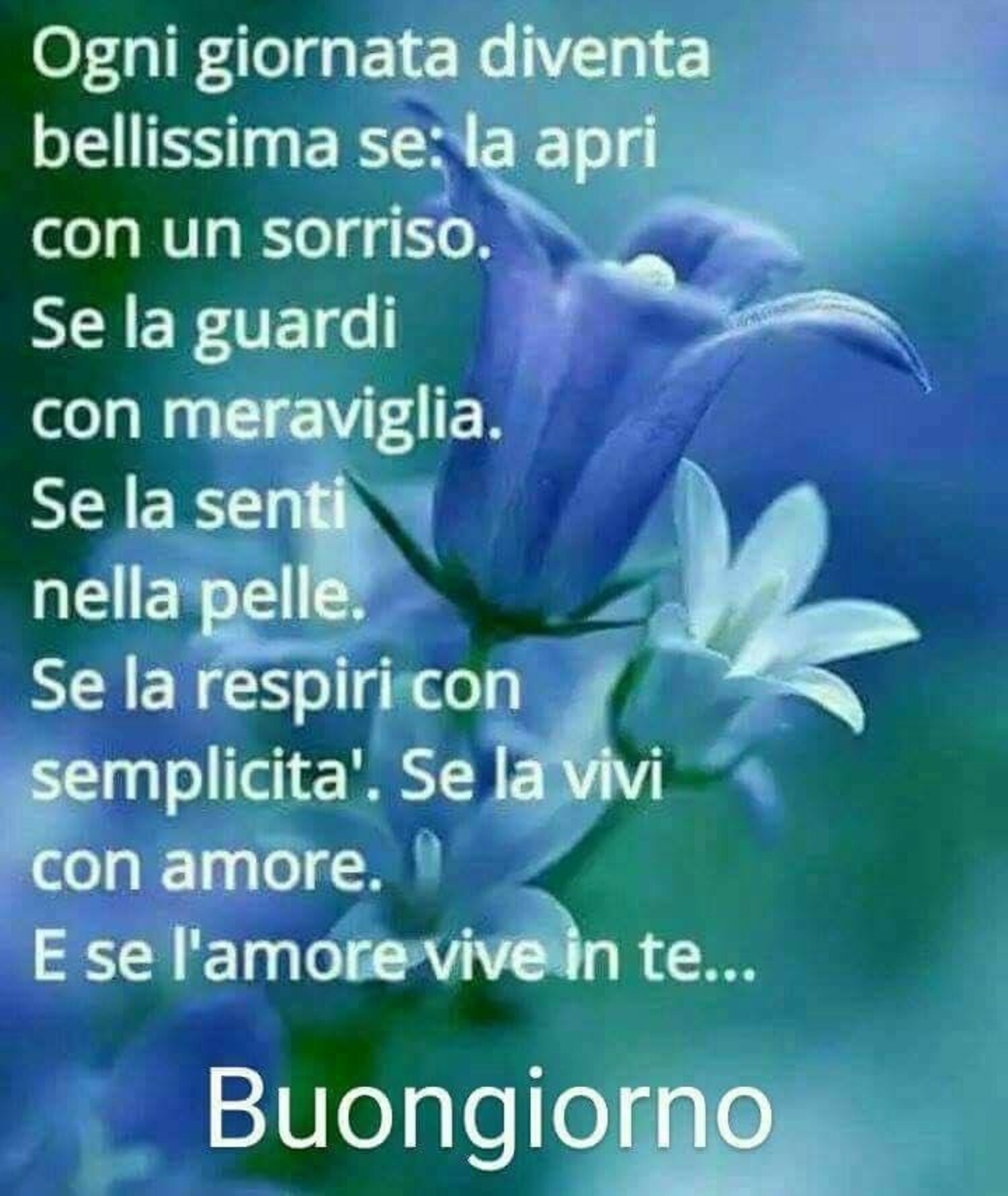 Le frasi più belle per il tuo Buongiorno