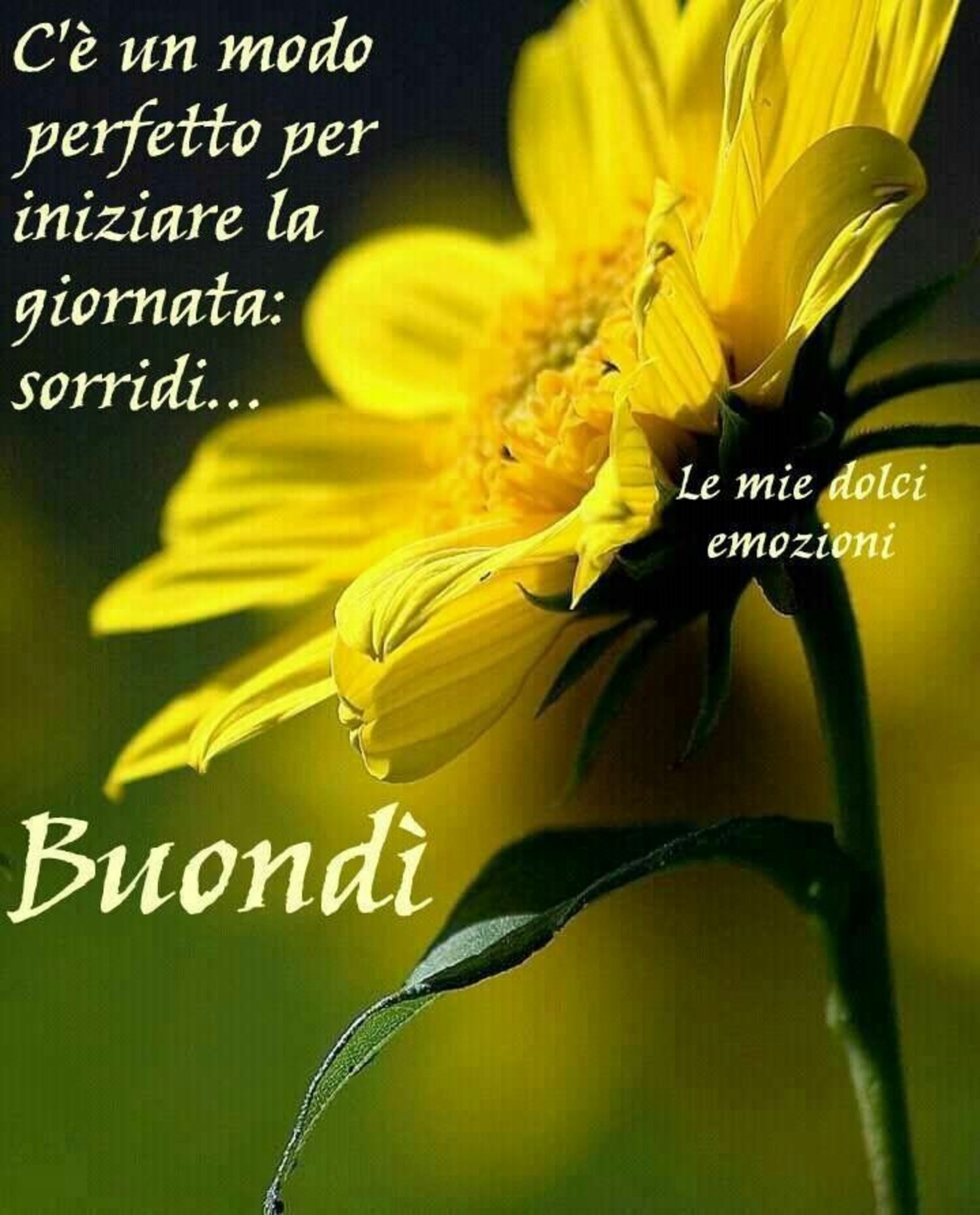 C'è un modo perfetto per iniziare la giornata: Sorridi... Buondì