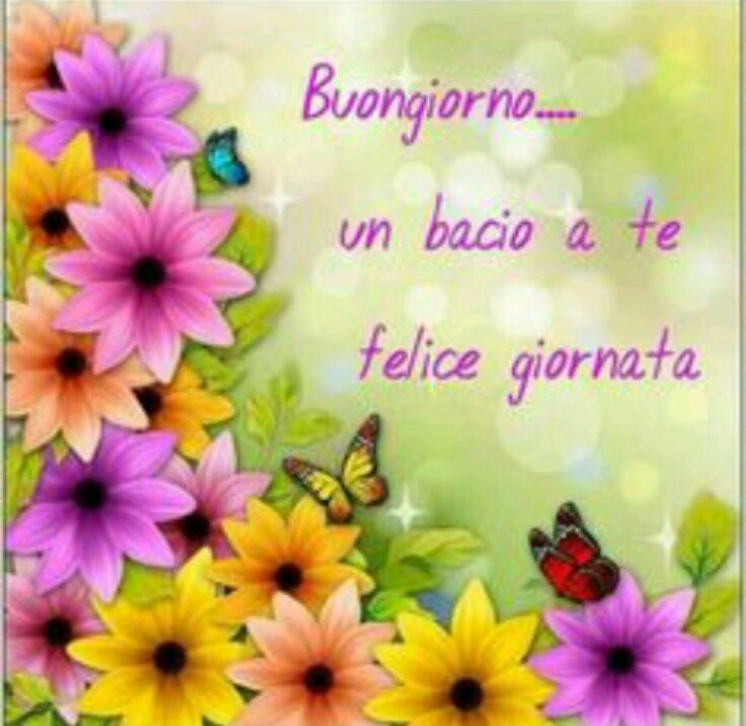 Buongiorno... Un bacio a te, felice giornata