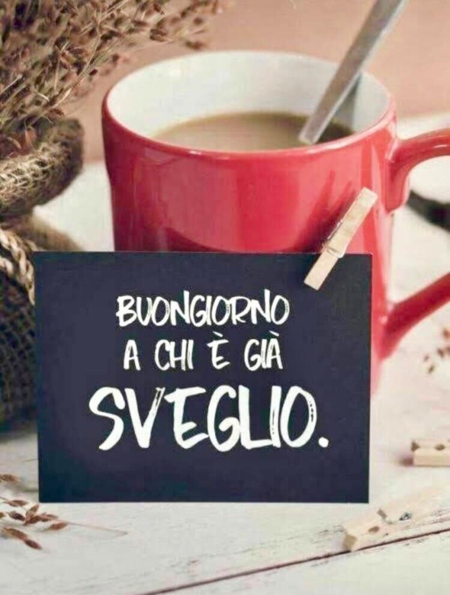 Buongiorno a chi è già sveglio. - Belle immagini