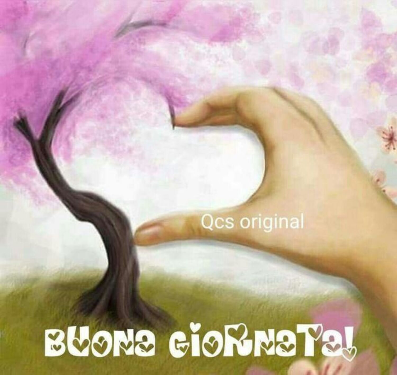 BUONA GIORNATA !