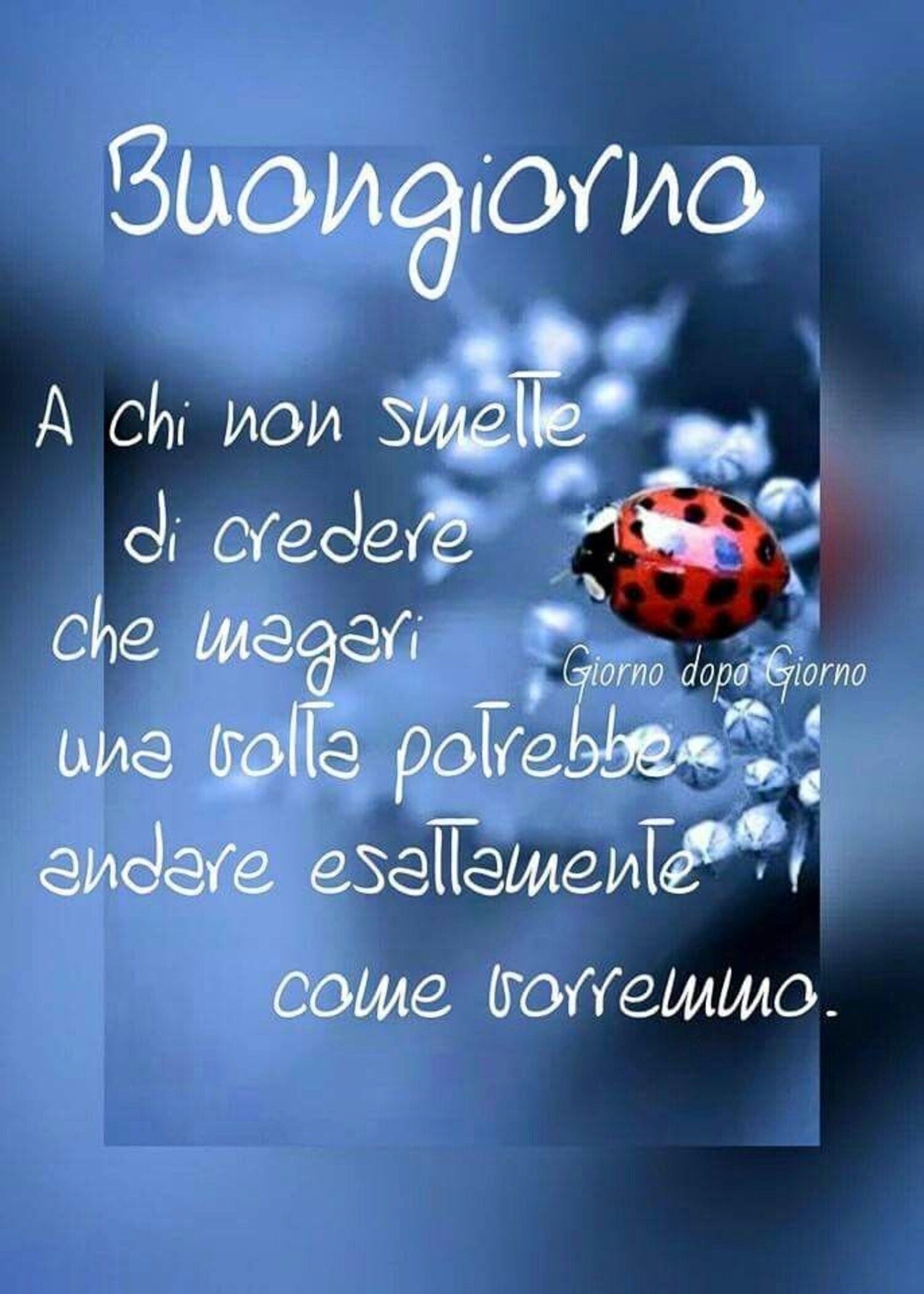 "Buongiorno a chi non smette mai di credere che magari, una volta potrebbe andare esattamente come vorremmo." - Giorno dopo Giorno