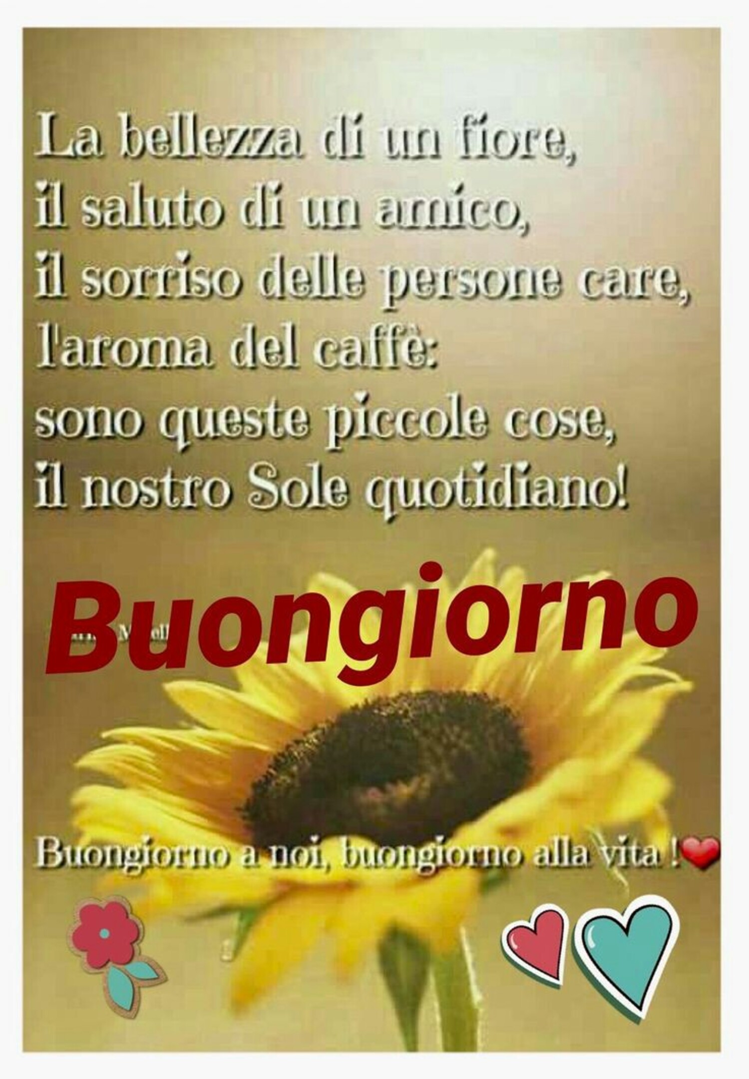 La bellezza di un fiore, il saluto di un amico, il sorriso delle persone care, l'aroma del caffè: Sono queste piccole cose, il nostro Sole quotidiano! Buongiorno