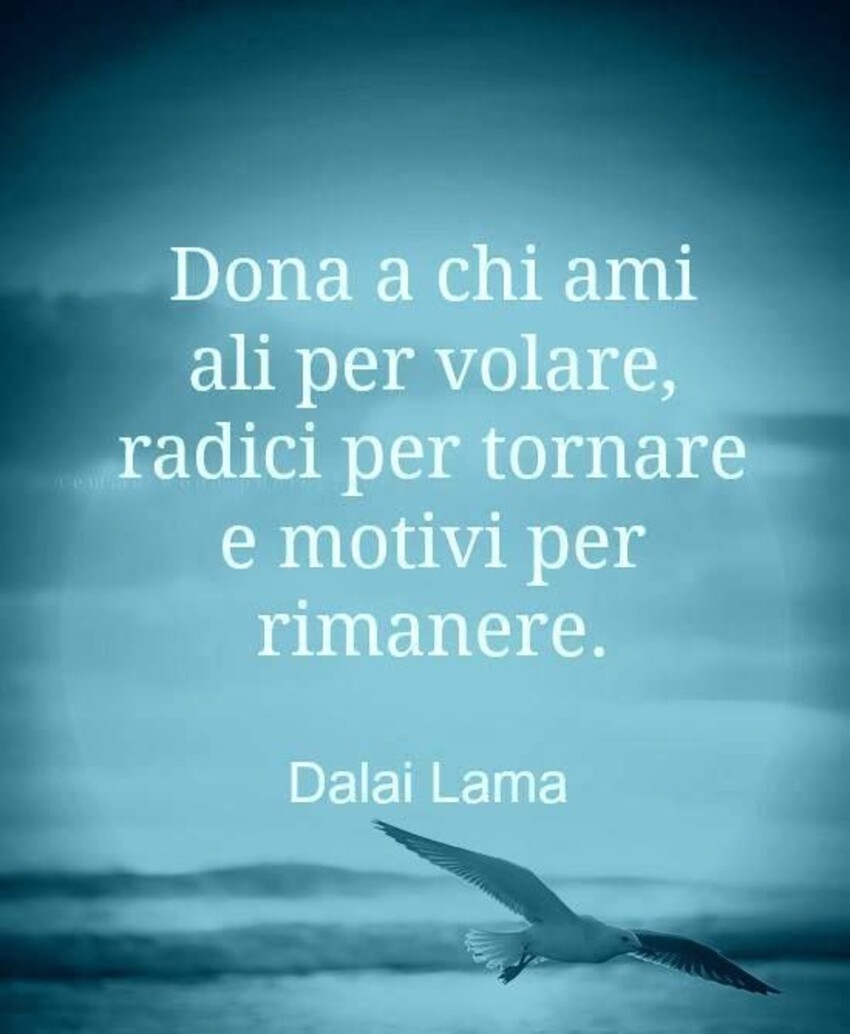 "Dona a chi ami ali per volare, radici per tornare e motivi per rimanere." - Dalai Lama