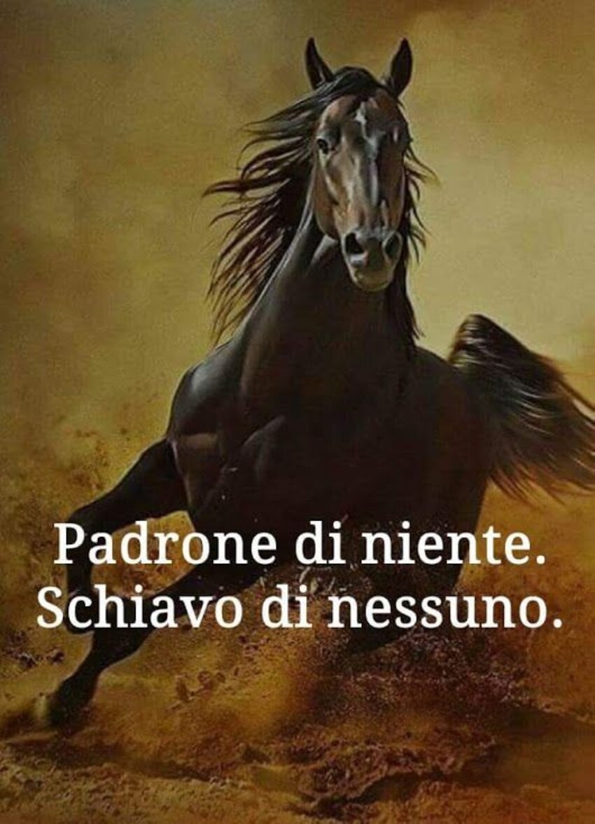 Padrone di niente. Schiavo di nessuno.