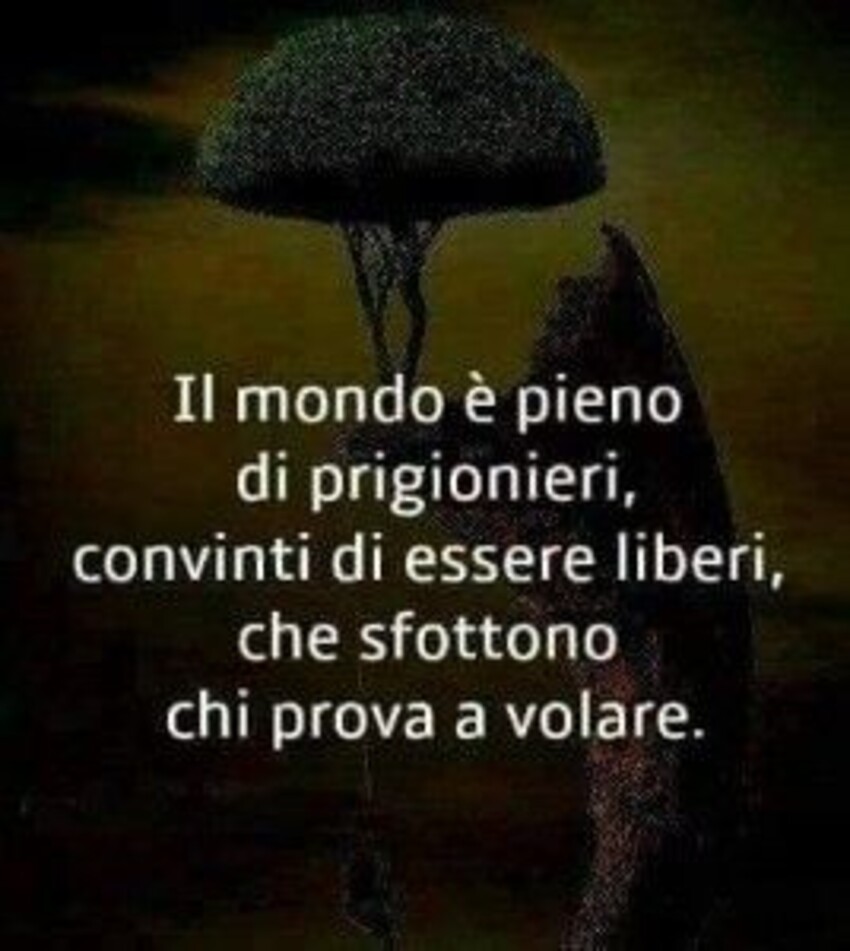 Il mondo è pieno di prigionieri, convinti di essere liberi, che sfottono chi prova a volare.