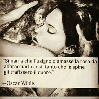 "Si narra che l'usignolo amasse la rosa da abbracciarla così tanto che le spine gli trafissero il Cuore." - Oscar Wilde