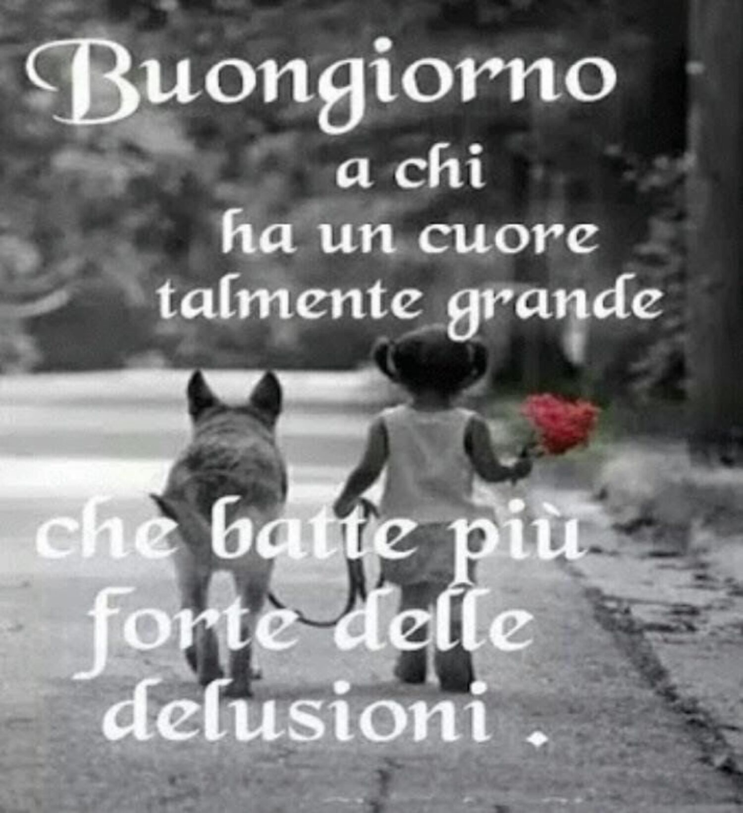 Buongiorno a chi ha un Cuore talmente grande che batte più forte delle delusioni.