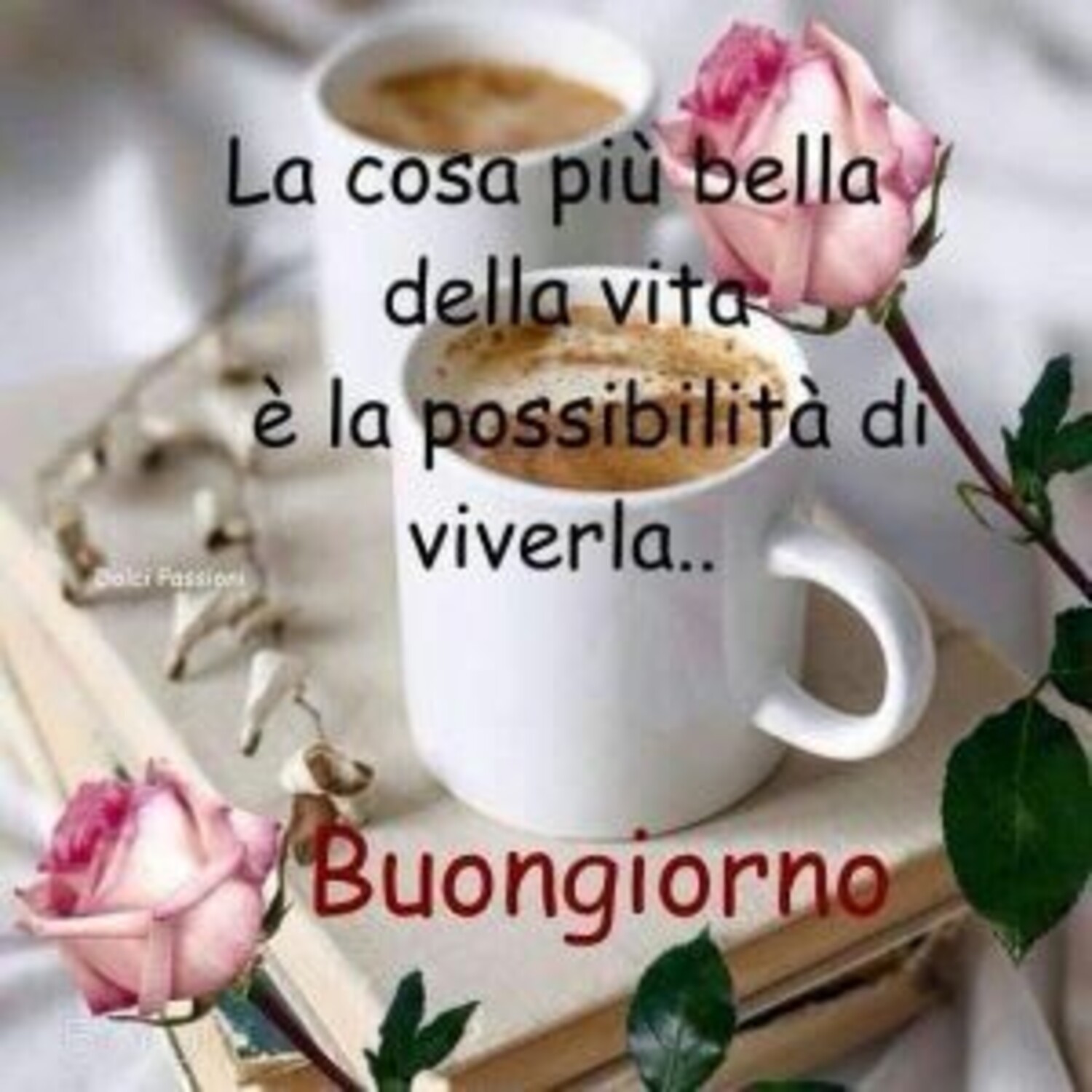 La cosa più bella della vita è la possibilità di viverla... Buongiorno