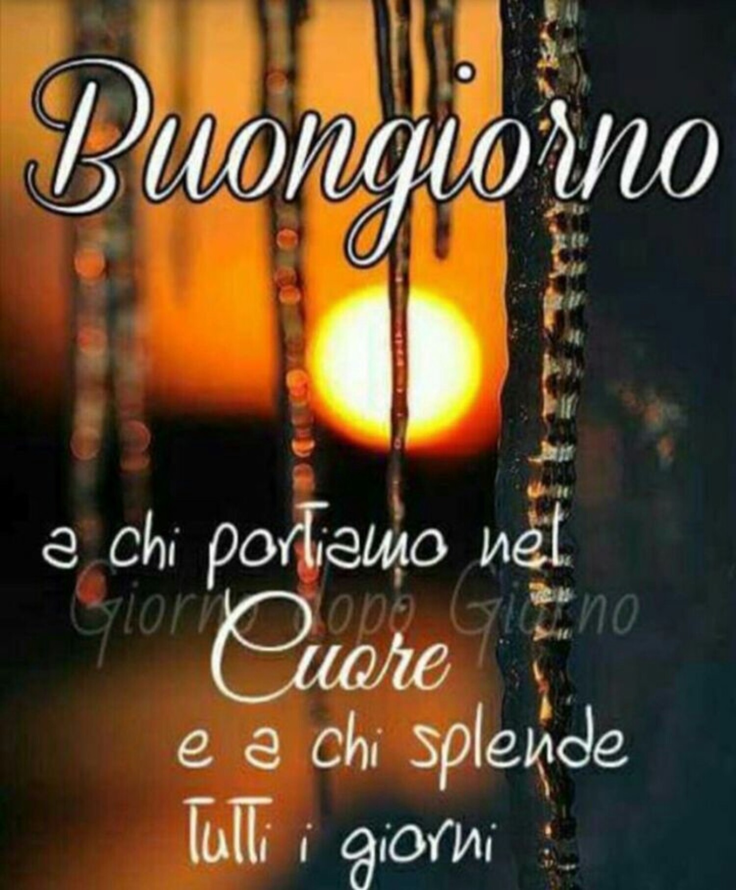 Buongiorno a chi portiamo nel Cuore e a chi splende tutti i giorni