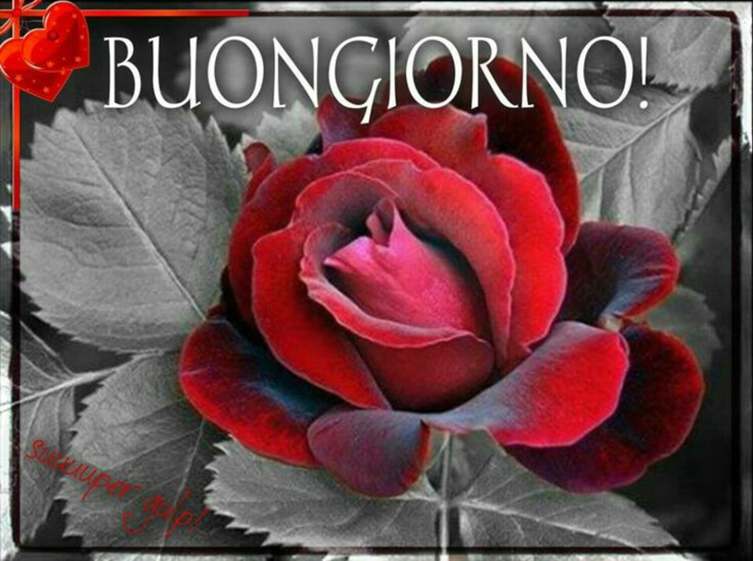 Buongiorno Amore Mio