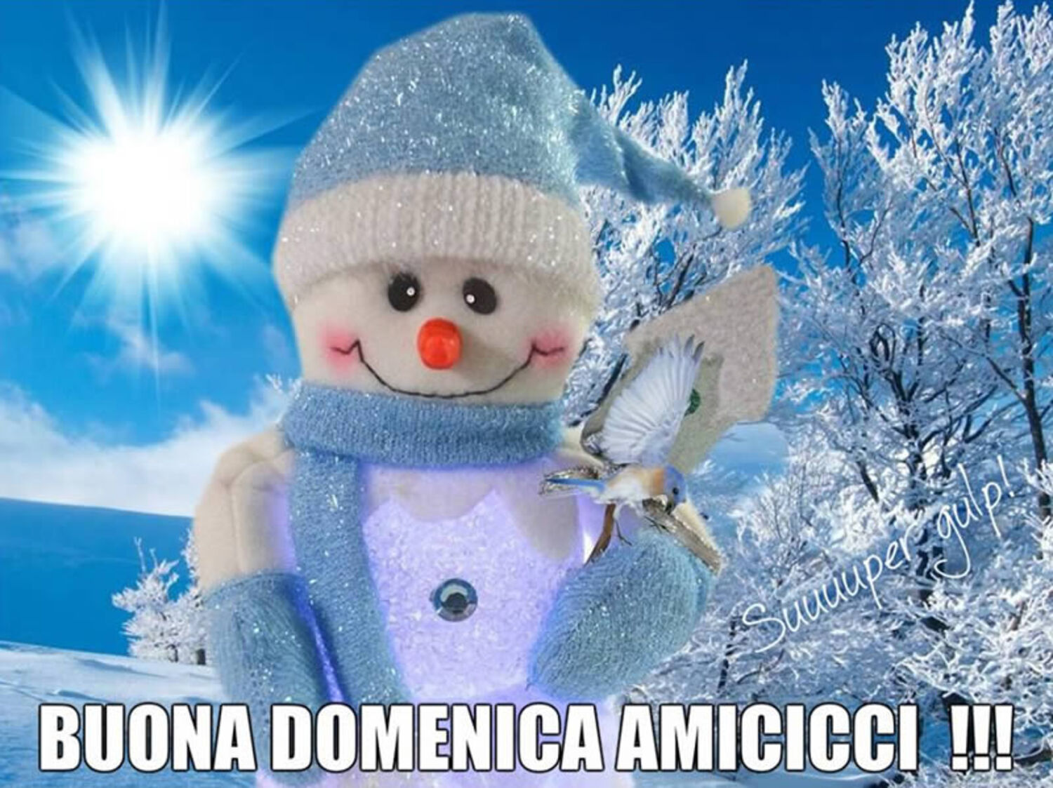 Buona Domenica inverno