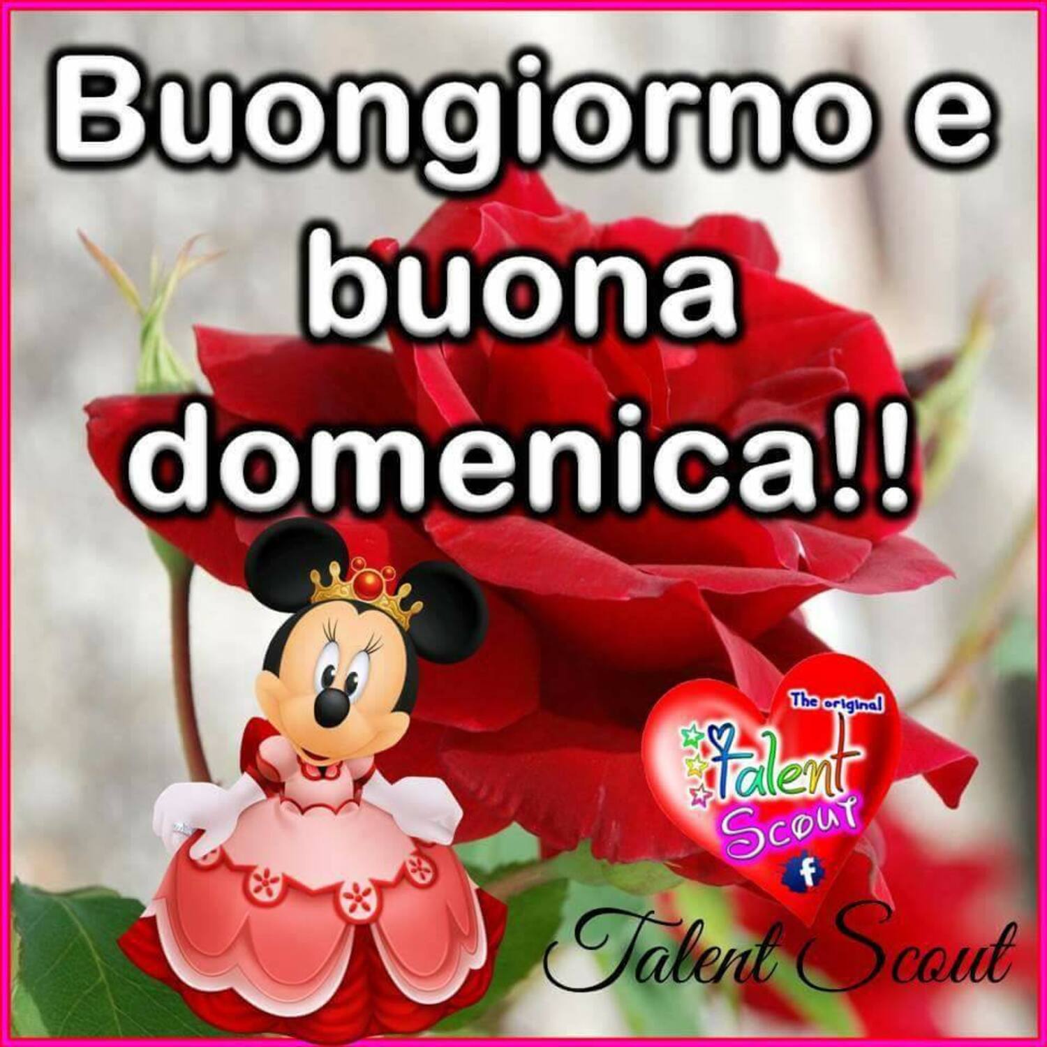 Buongiorno e Buona Domenica da Minnie