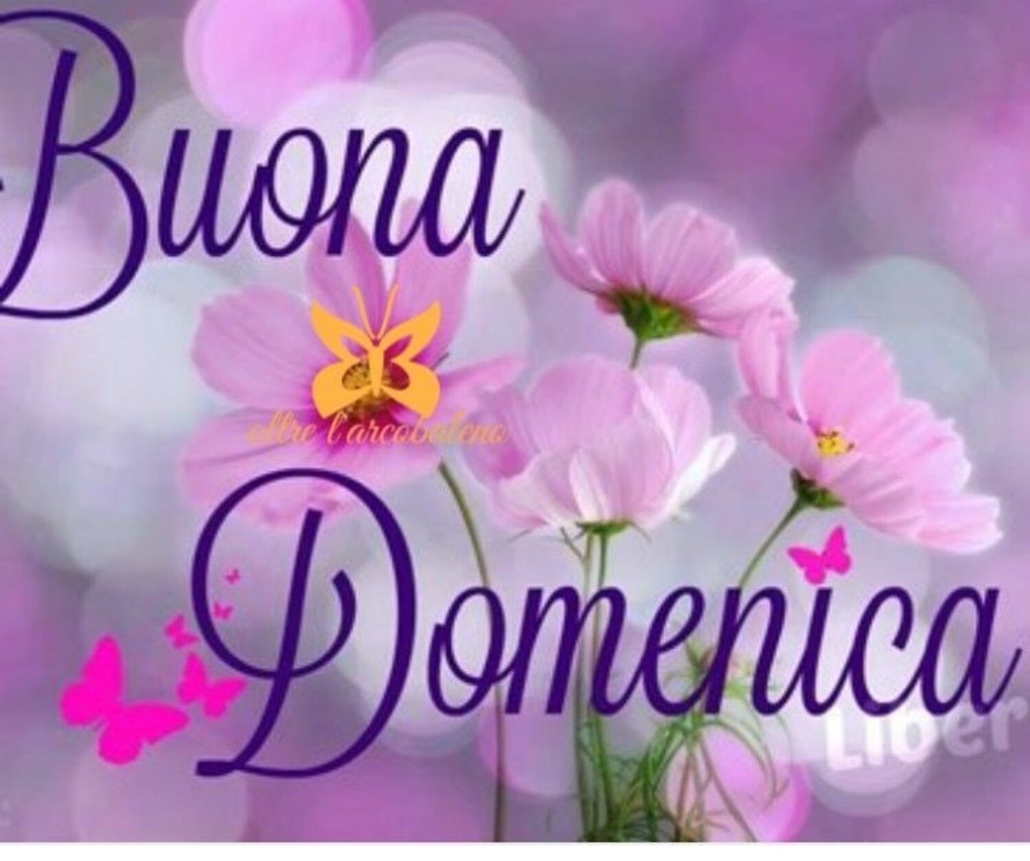 Buona Domenica immagini primaverili