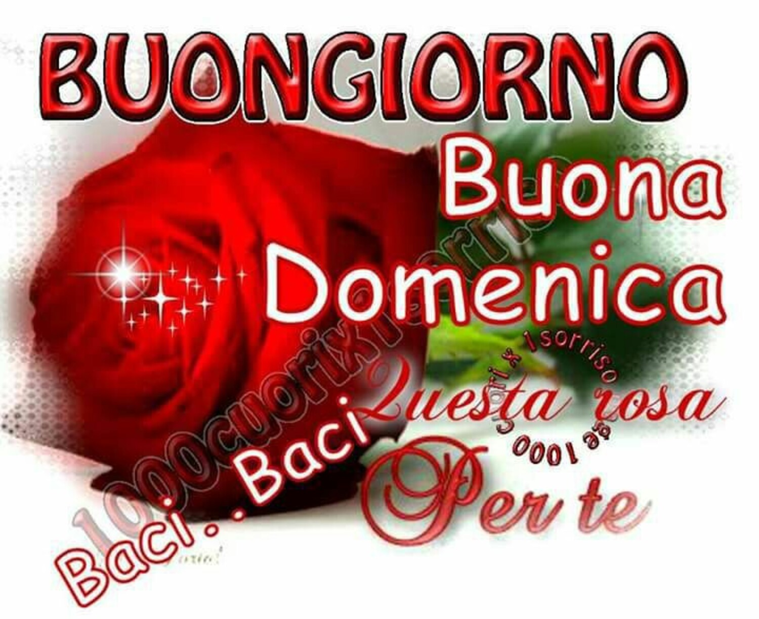 Buongiorno Buona Domenica. Baci... Baci...