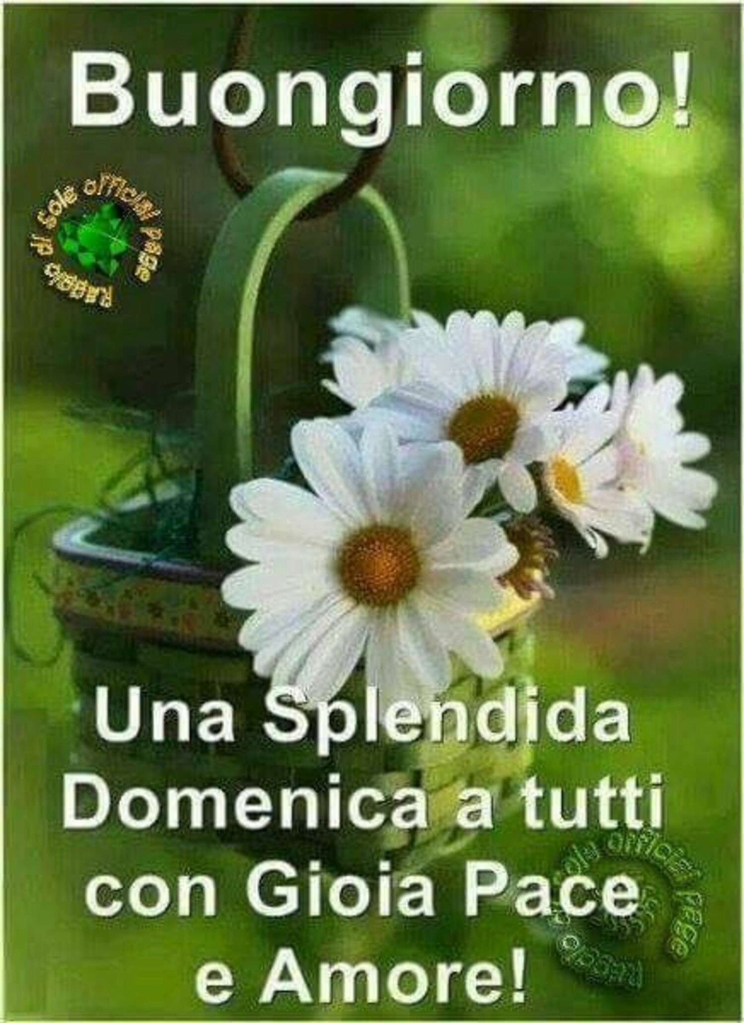 Buongiorno! Una Splendida Domenica a tutti con Gioia, Pace e Amore!