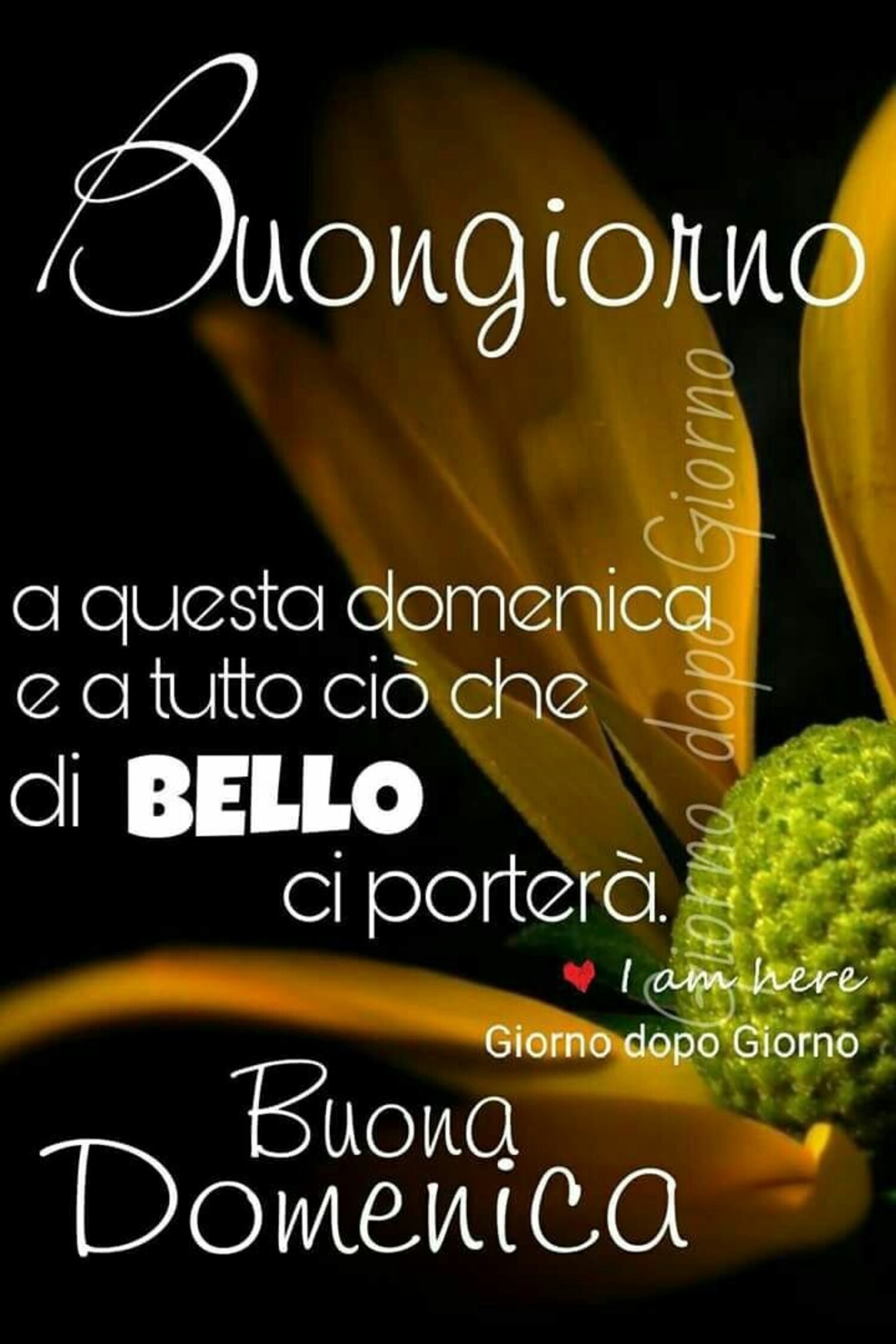 Buongiorno a questa Domenica e a tutto ciò che di bello ci porterà. Buona Domenica