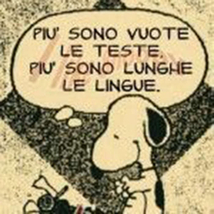 "Più sono vuote le teste, più sono lunghe le lingue."