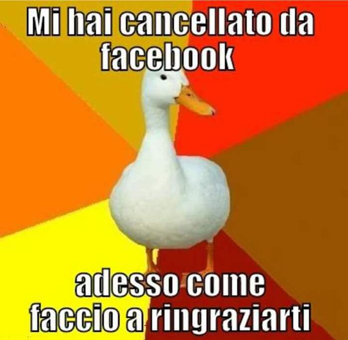 Mi hai cancellato da Facebook. Adesso come faccio a ringraziarti?