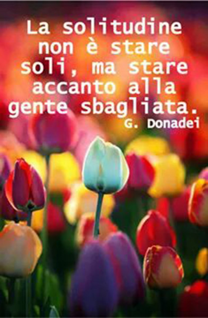 "La solitudine non è stare soli, ma stare accanto alla gente sbagliata." - G. Donadei