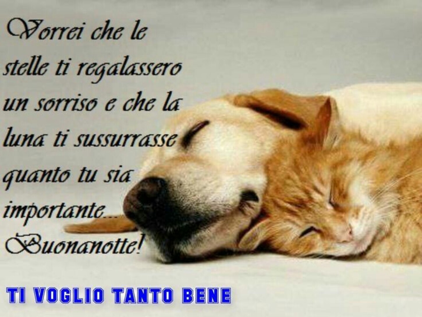 "Vorrei che le stelle ti regalassero un sorriso..... Buonanotte!"