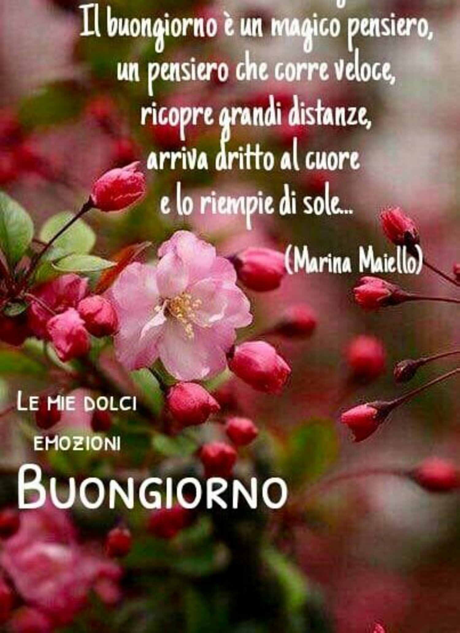 Il Buongiorno è un magico pensiero, un pensiero che corre veloce, ricopre grandi distanze, arriva dritto al Cuore e lo riempie di sole...