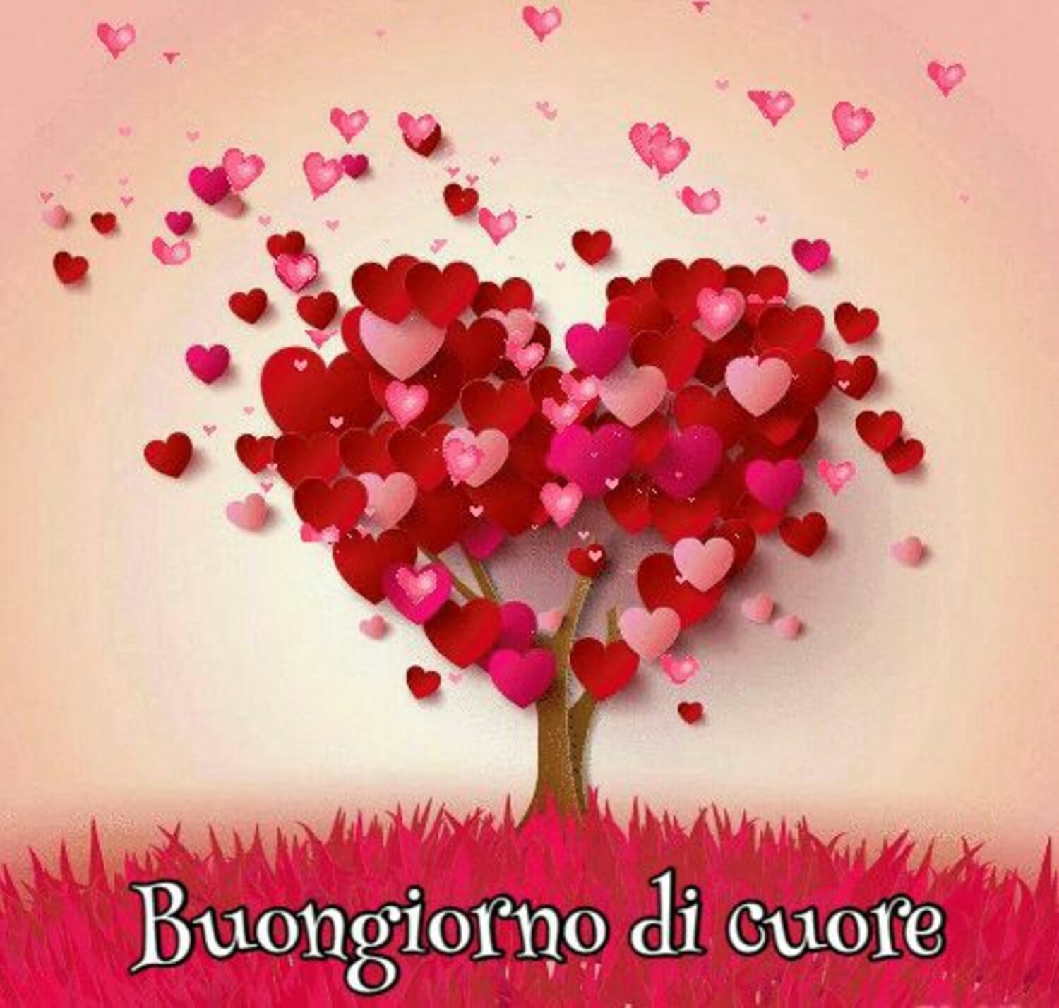 Buongiorno di Cuore