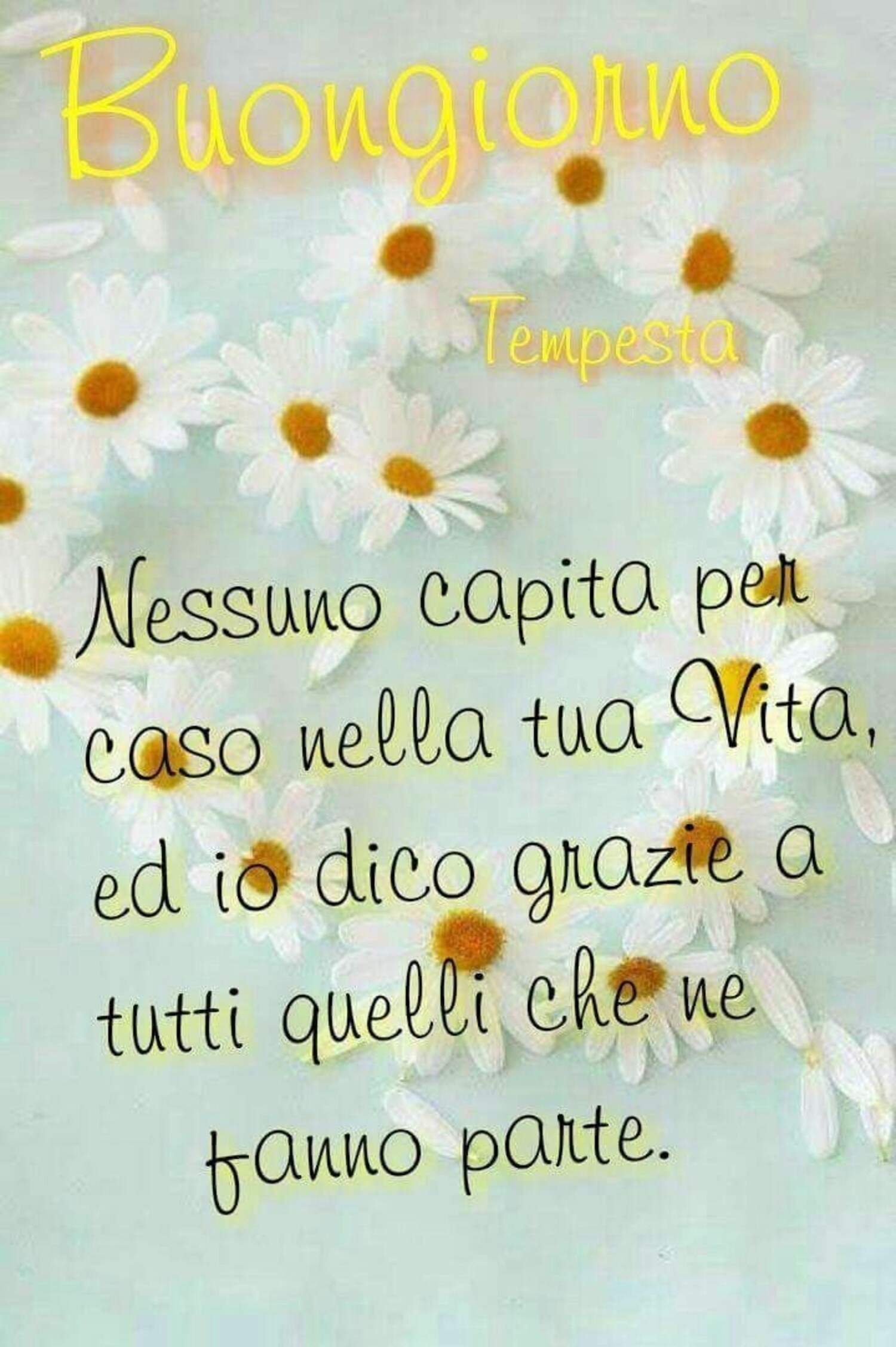 "Buongiorno. Nessuno capita per caso nella tua vita, ed io dico grazie a tutti quelli che ne fanno parte." - Tempesta