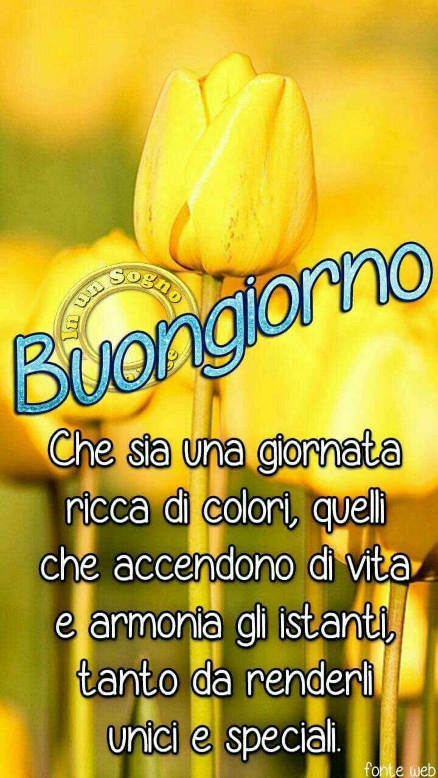 Buongiorno, che sia una giornata ricca di colori...