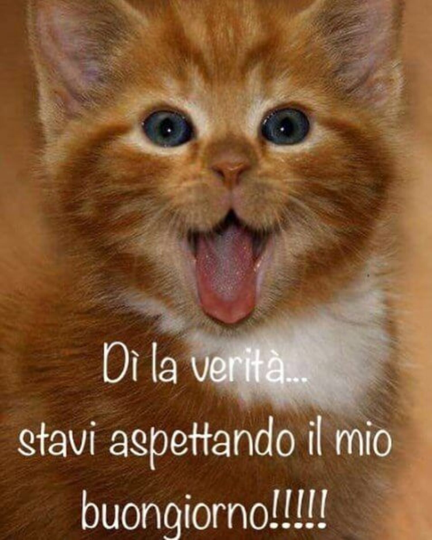 Dì la verità... Stavi aspettando il mio Buongiorno !!!!!