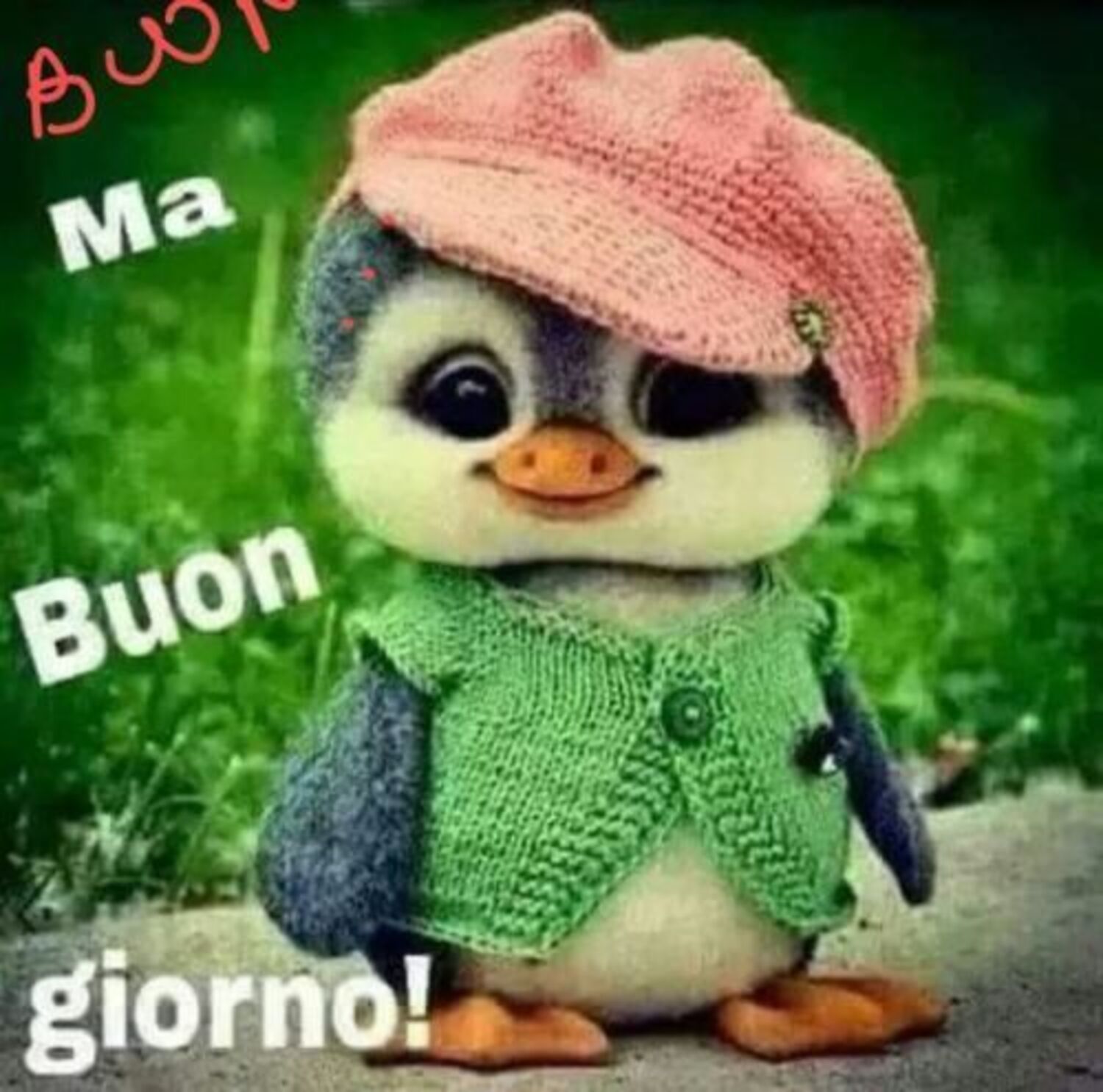 Ma Buon Giorno !