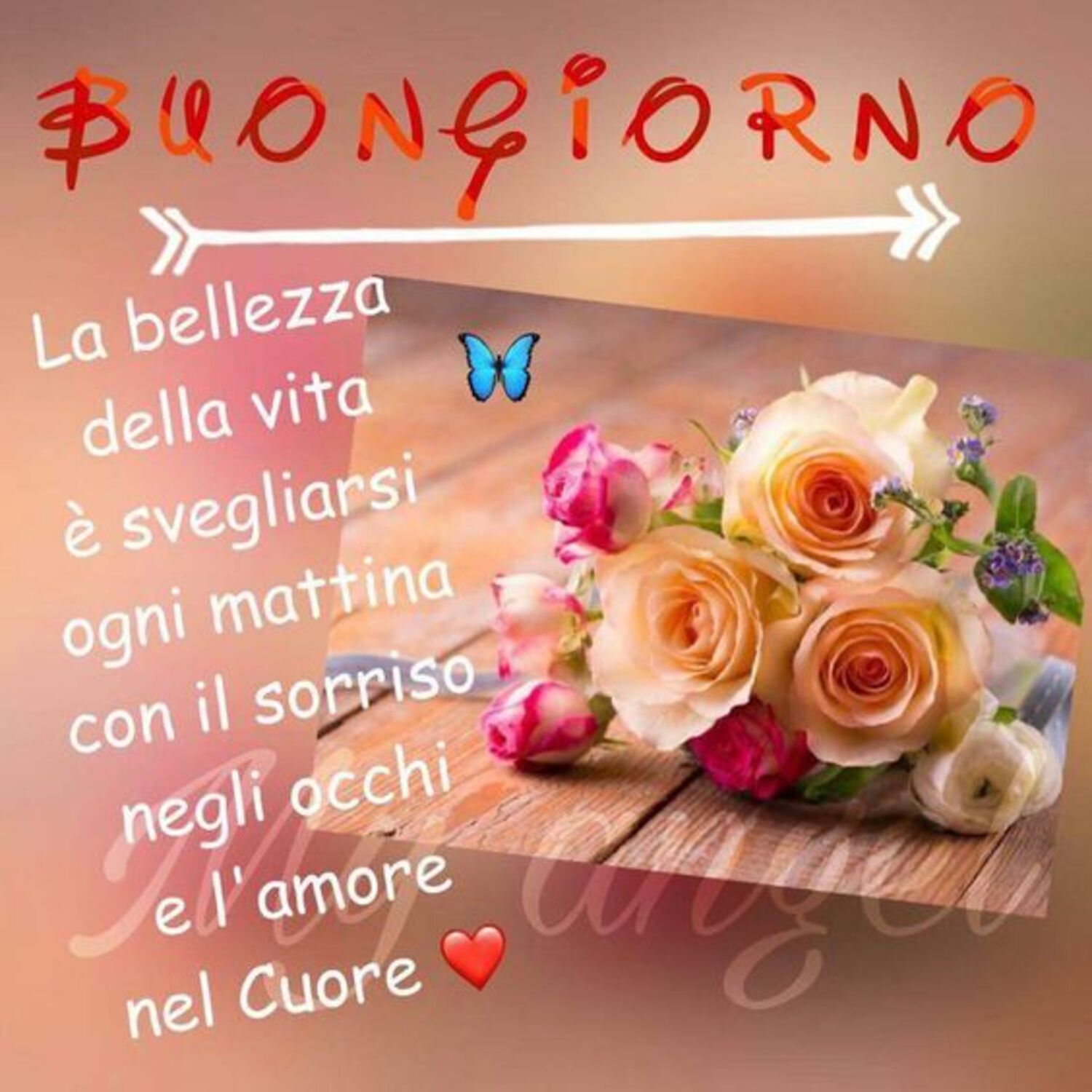 Buongiorno. La bellezza della vita è svegliarsi ogni mattina con il sorriso negli occhi e con l'Amore nel Cuore