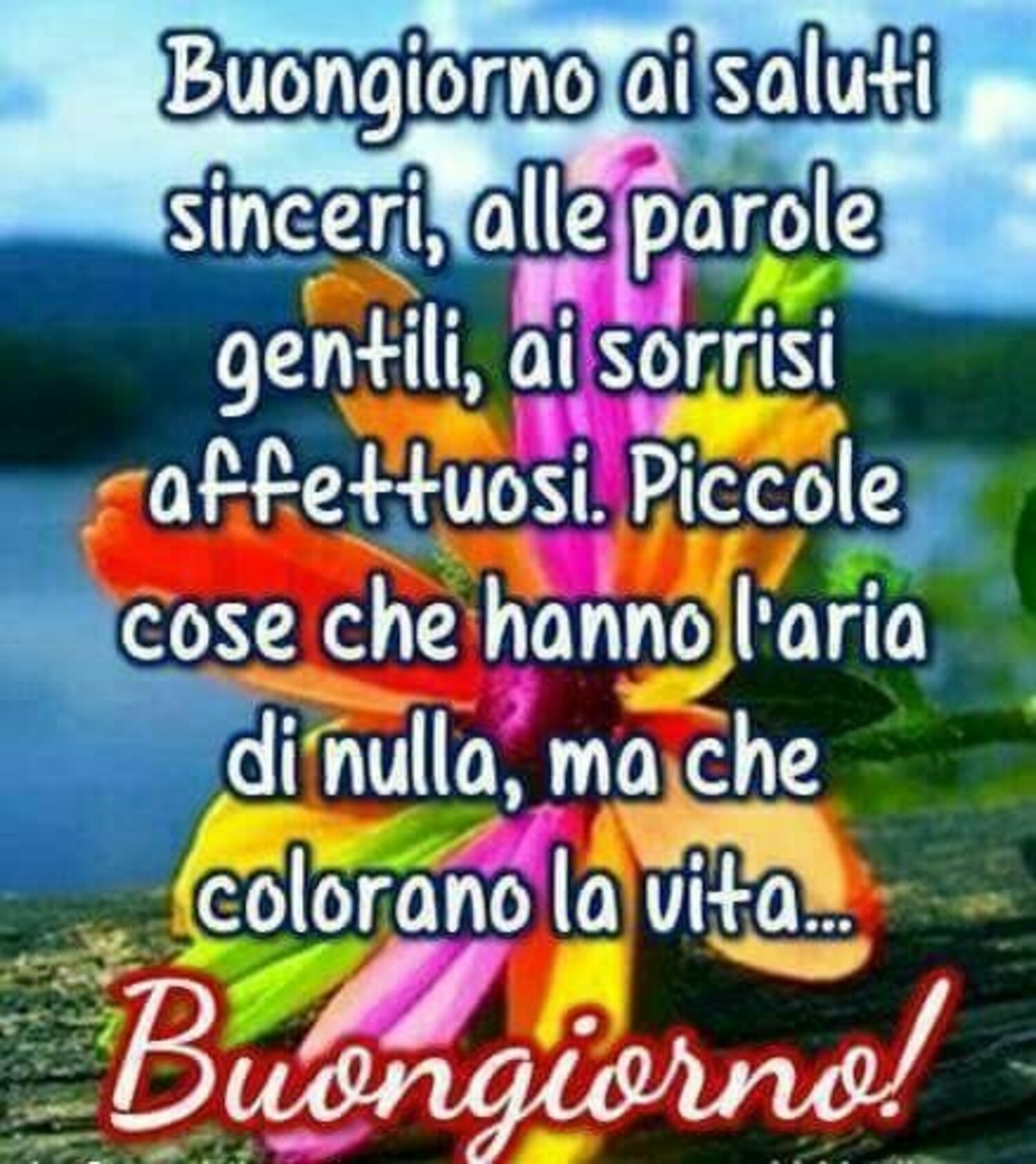 Buongiorno ai saluti sinceri, alle persone gentili.....