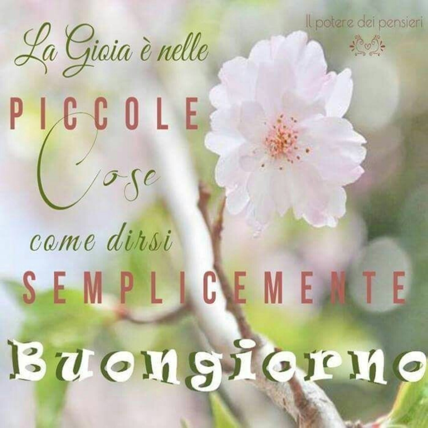 La gioia è nelle piccole cose, come dirsi semplicemente Buongiorno