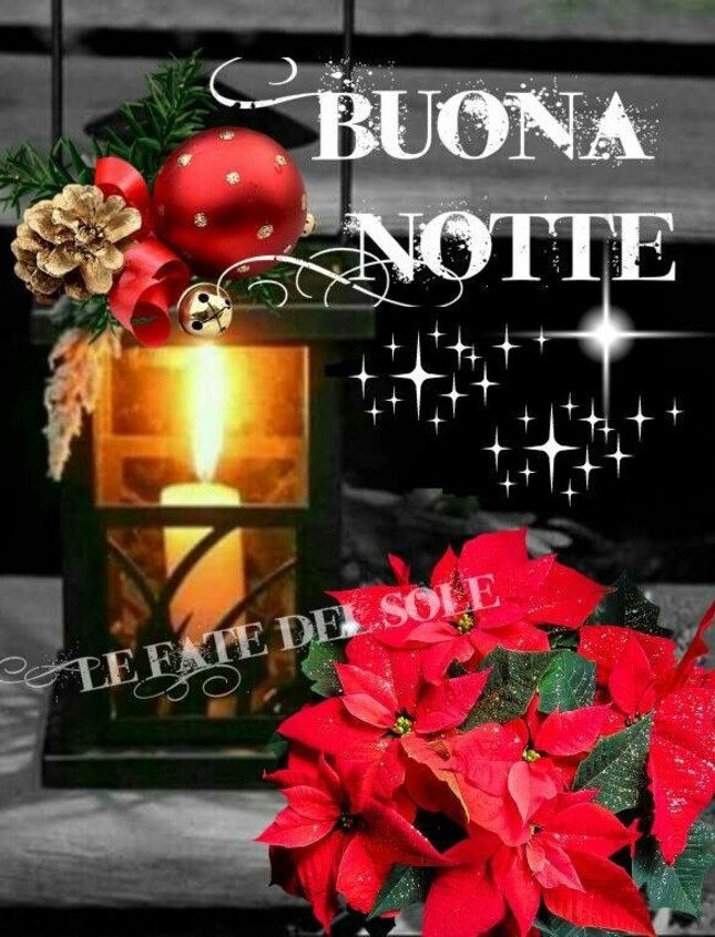 BUONA NOTTE