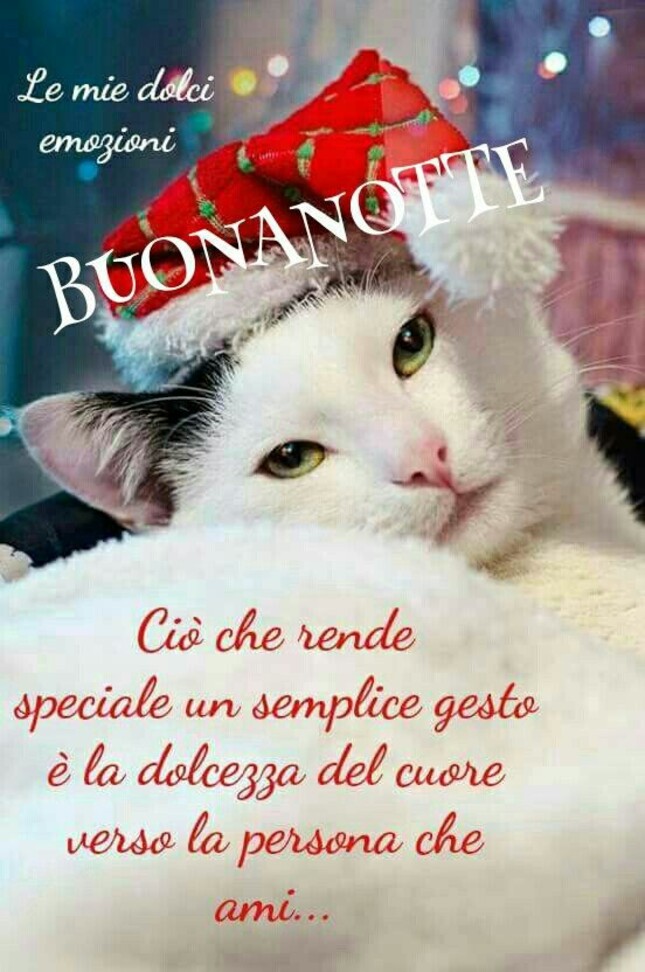 Ciò che rende speciale un gesto è la dolcezza del Cuore verso la persona che ami... Buonanotte