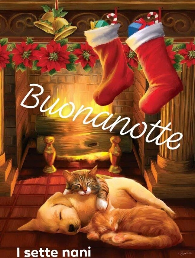 Buona Notte con gli addobbi natalizi