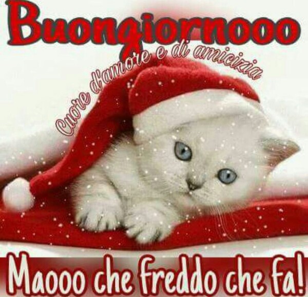 Buongiornooo... Maooo che freddo che fa!