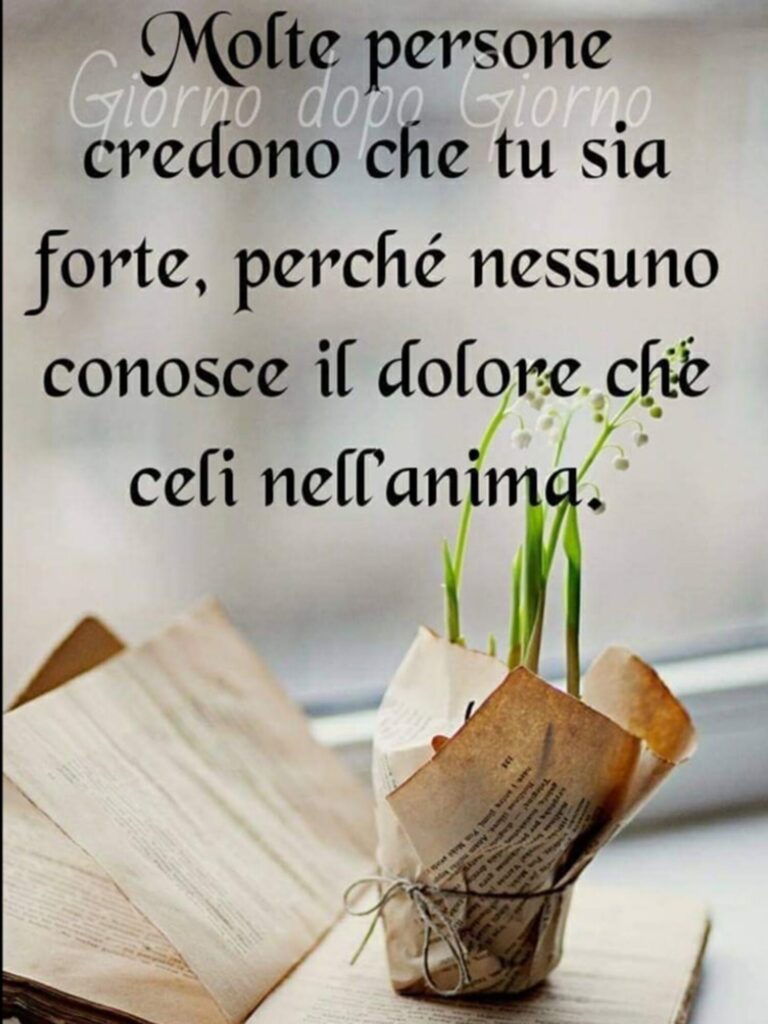 Molte persone credono che tu sia forte, perché nessuno conosce il dolore che celi nell'anima.