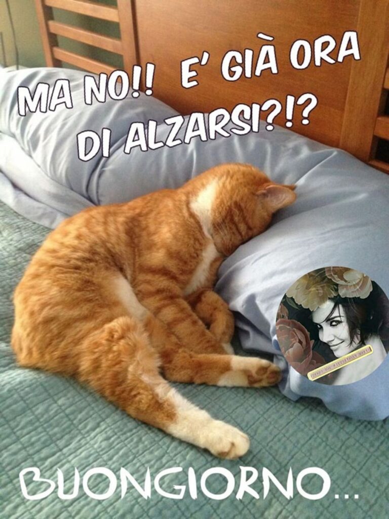 buongiorno simpatico